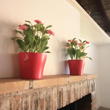 Frühstückspension Calisto 6 Rom