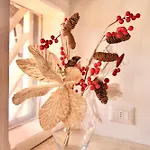 Bed and breakfast Calisto 6 4*